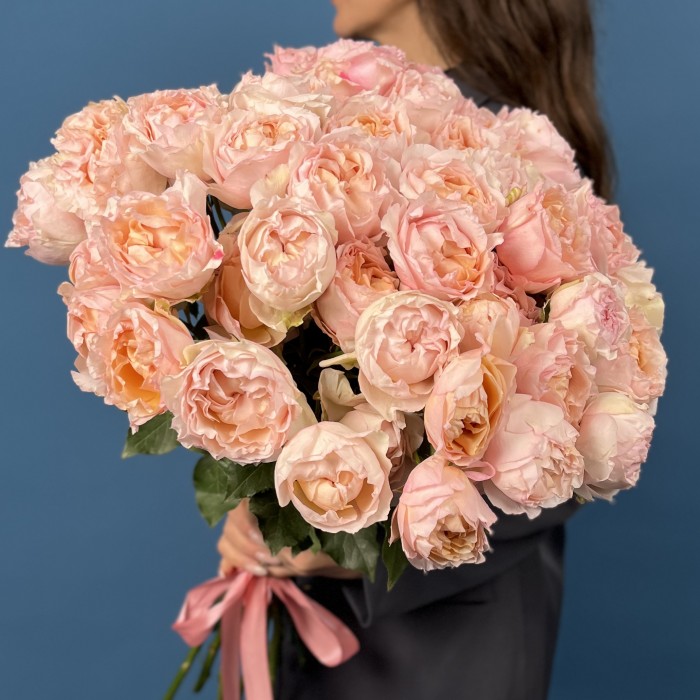 Кустовая пионовидная роза Джульетта Хани 60 см